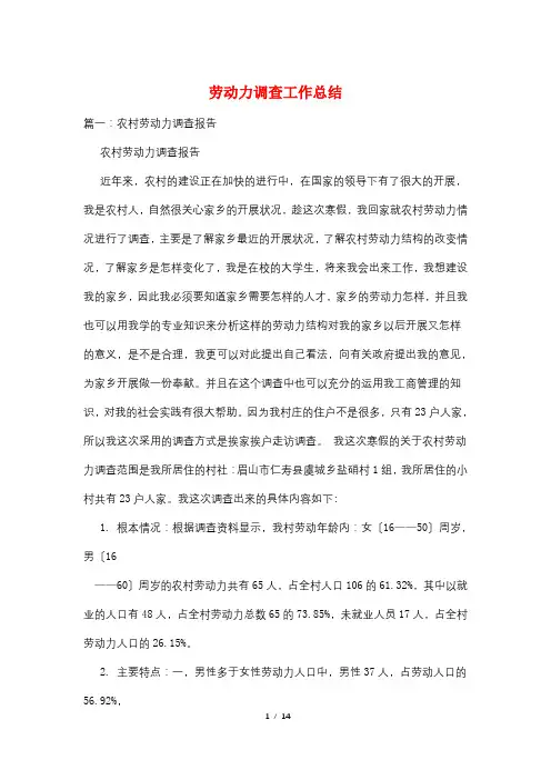 劳动力调查工作总结