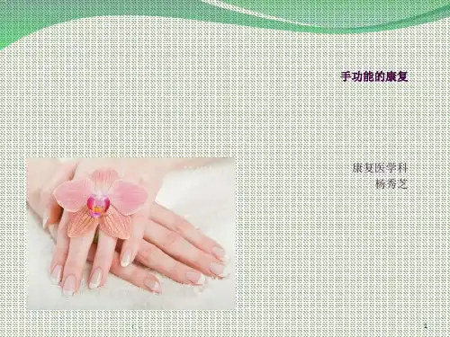 手功能的康复ppt课件