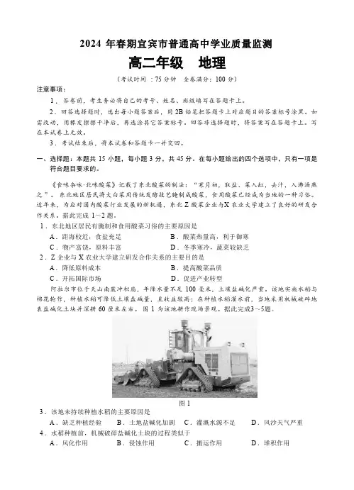 四川省宜宾市2023-2024学年高二下学期期末考试地理试题(含答案)