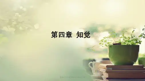 普通心理学第四章知觉精品文档