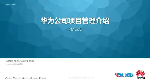 华为项目管理介绍