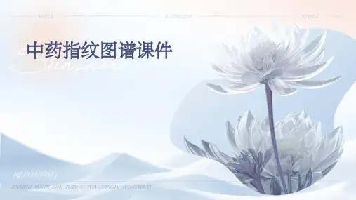 中药指纹图谱(课件)