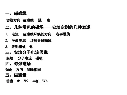 几种常见的磁场  课件
