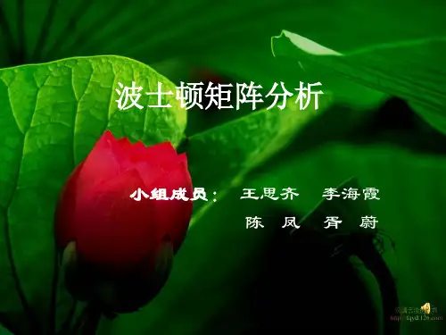 波士顿矩阵分析ppt课件