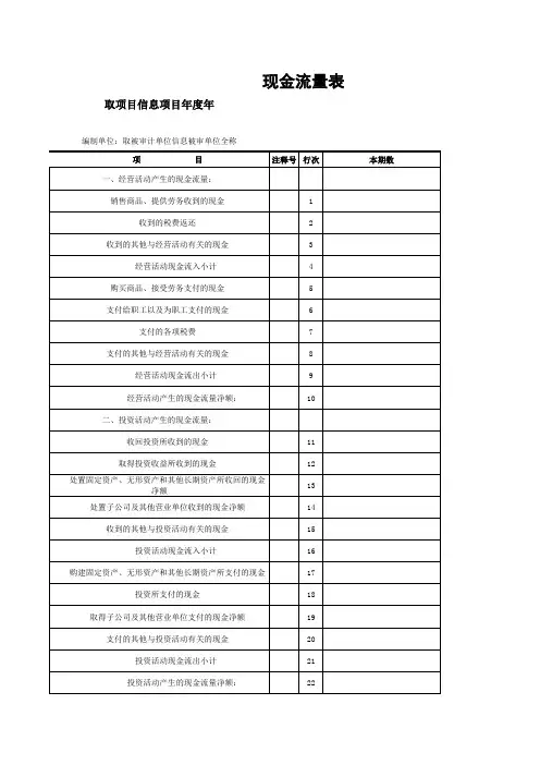 现金流量表(模板)