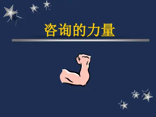 华彩-舜宇项目—咨询力量-高