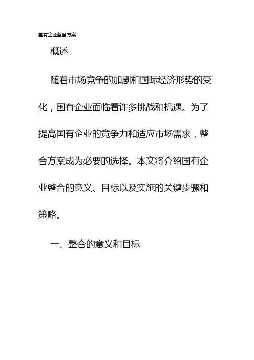 国有企业整合方案