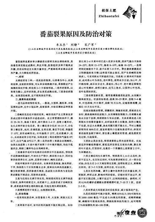番茄裂果原因及防治对策