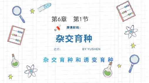 《杂交育种和诱变育种》人教版高中生物必修PPT精品课件