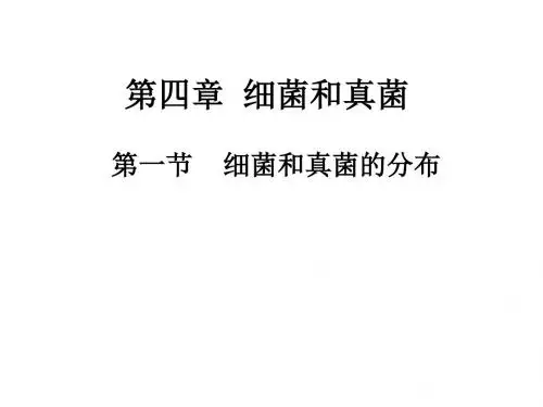 人教版八年级上册生物：5.4.1细菌和真菌的分布 课件  (共33张PPT)
