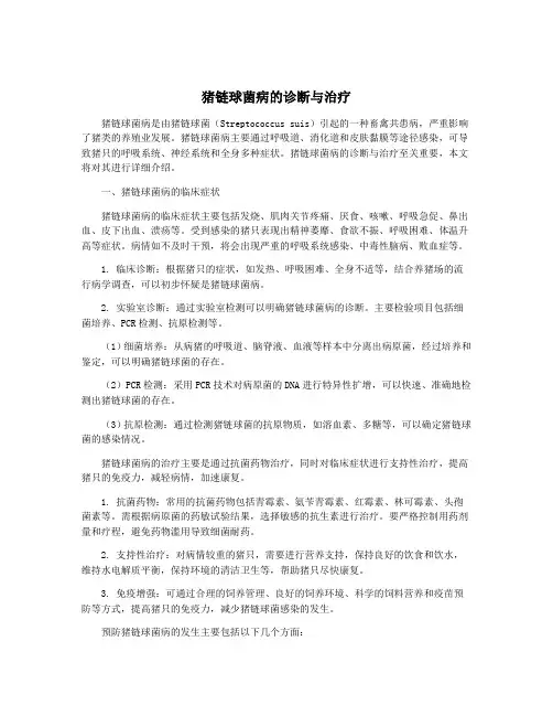 猪链球菌病的诊断与治疗