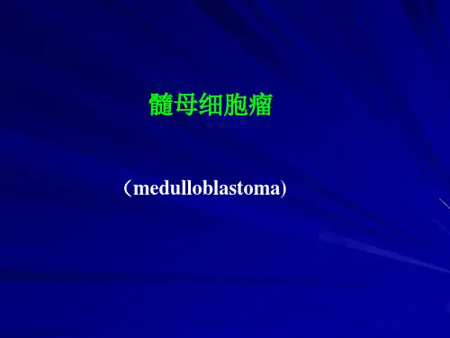 髓母细胞瘤
