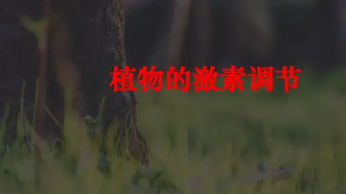 2019届高三生物二轮复习 植物激素调节专题(课件)(共83张PPT)
