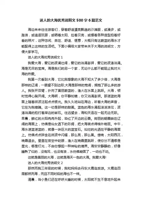 迷人的大海优秀说明文500字6篇范文