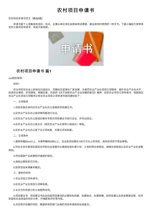 农村项目申请书