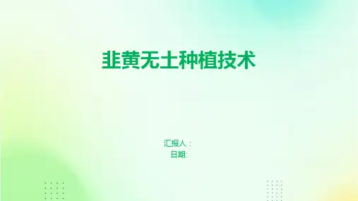 韭黄无土种植技术