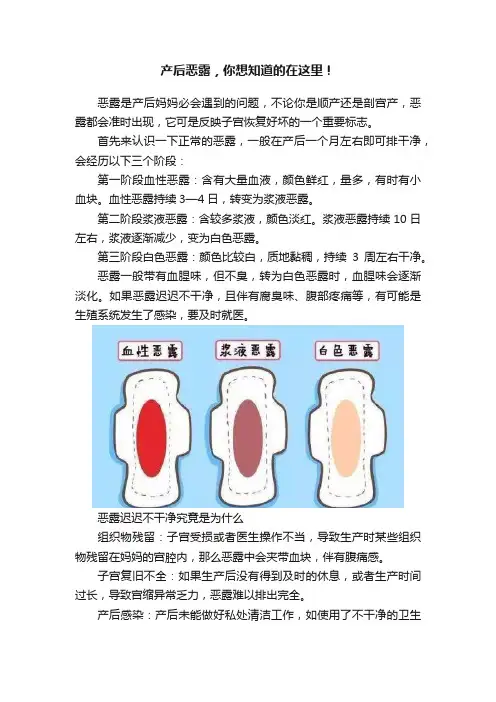 产后恶露，你想知道的在这里！