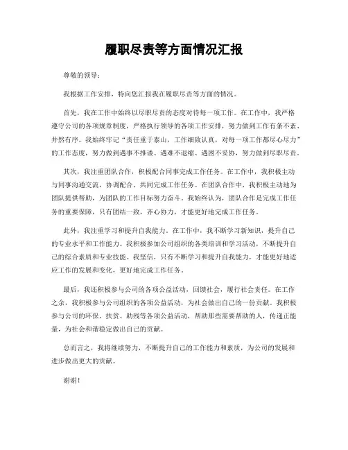 履职尽责等方面情况汇报