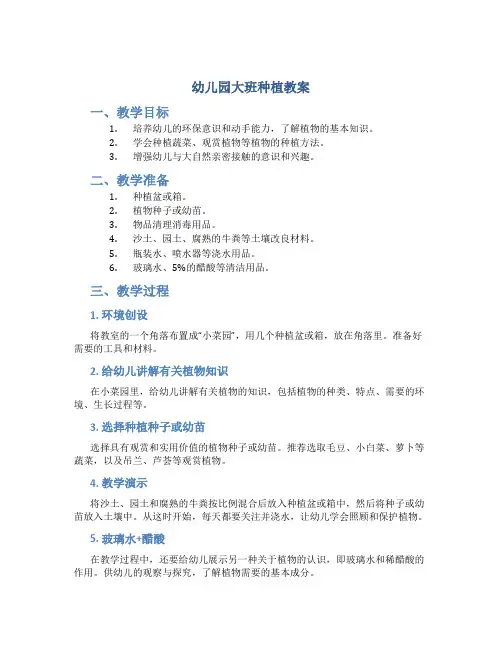 幼儿园大班种植教案