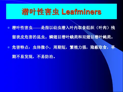 园艺昆虫学-潜叶性害虫