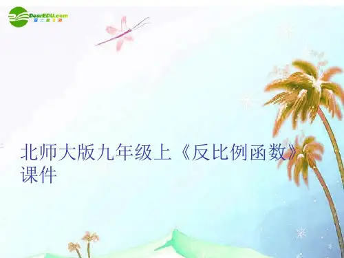 九年级数学上册《反比例函数》课件 北师大版