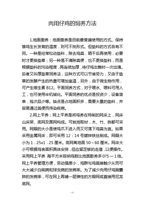 肉用仔鸡的饲养方法