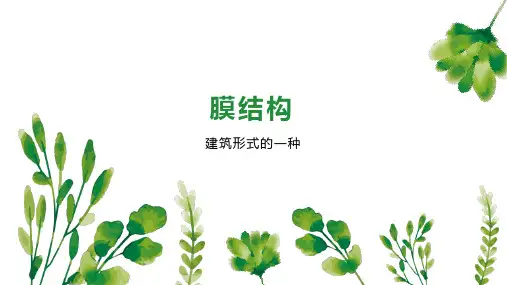 膜结构    