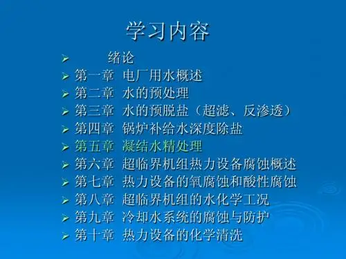 凝结水精处理
