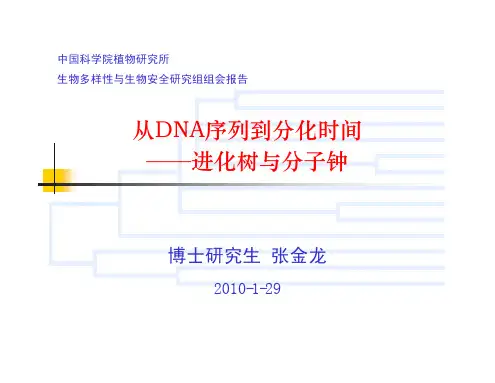 从DNA序列到分化时间——进化树与分子钟