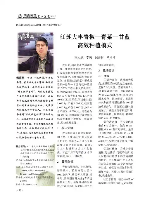 江苏大丰青椒青菜甘蓝高效种植模式
