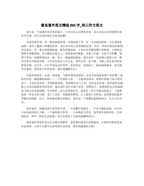 窗里窗外范文精选800字_初三作文范文