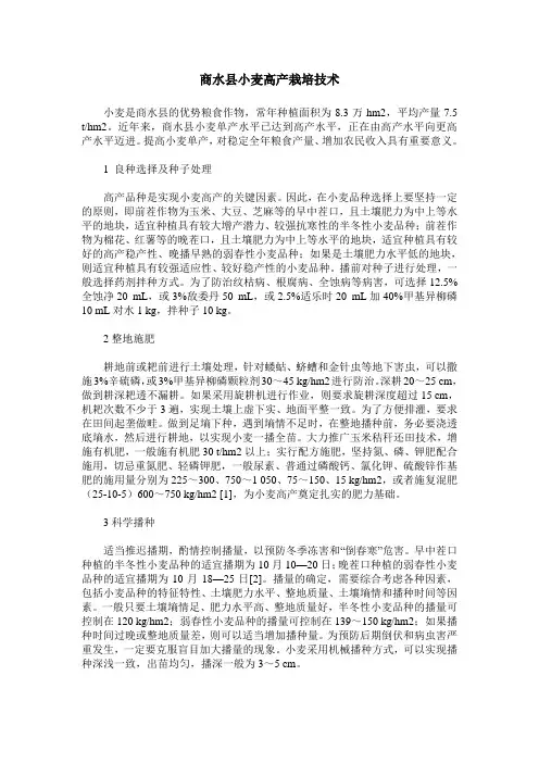 商水县小麦高产栽培技术