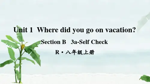 人教八年级上册英语第5课时(Section B 3a-Self Check)