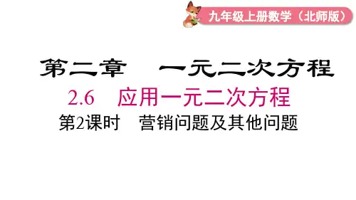 北师大版九年级数学上册第二章 一元二次方程 营销问题及其他问题