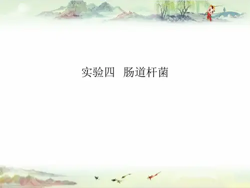 实验4肠道杆菌——【医学微生物学精品讲义】