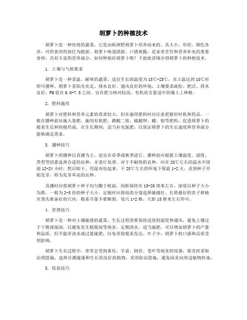 胡萝卜的种植技术