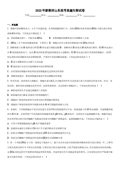 2023年山东高考生物试题真题(含答案详解)
