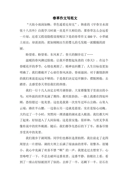 春草作文写范文.doc