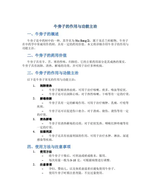 牛旁子的作用与功能主治
