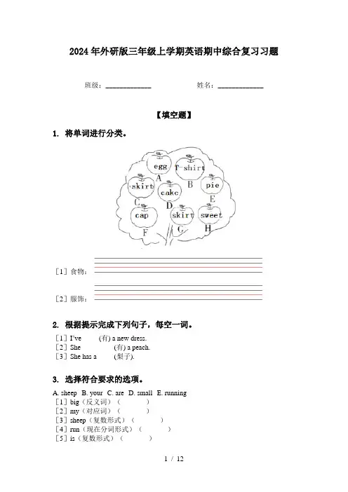2024年外研版三年级上学期英语期中综合复习习题