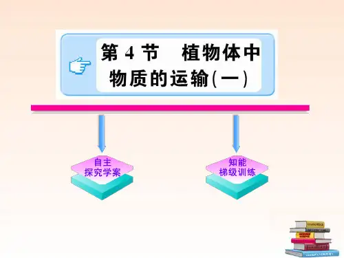 八年级科学下册 《植物体中物质的运输》课件 浙教版