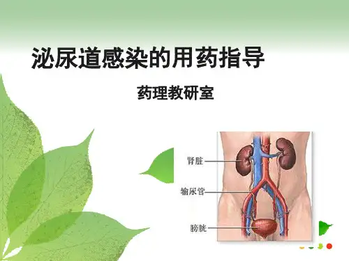 泌尿道感染的用药指导