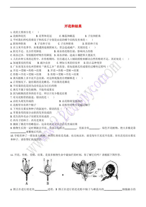 七年级生物上册 3.2.3 开花和结果同步练习 (新版)新人教版