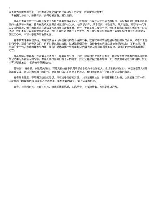 中考满分作文800字：少年风采