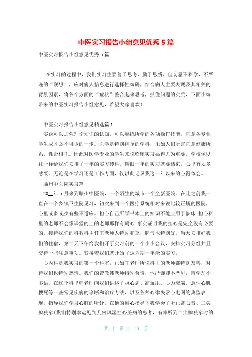 中医实习报告小组意见优秀5篇