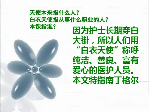 白衣天使.ppt