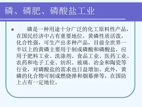 磷酸盐生产工艺概述PPT(24张)