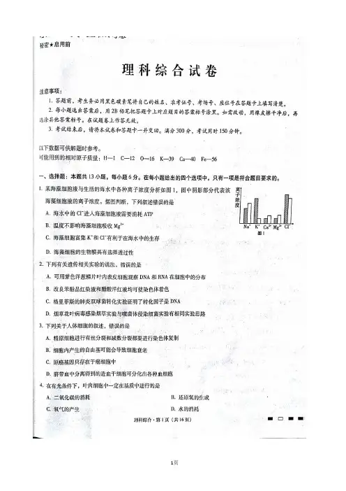 2018届云南省师范大学附属中学高三第九次月考理科综合试题(扫描版)