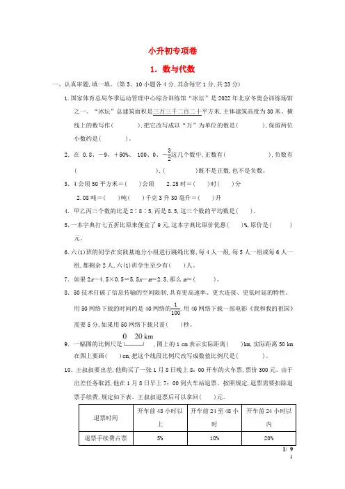 六年级数学下册小升初专项卷1数与代数北师大版