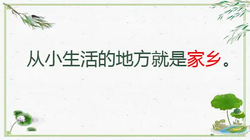 二年级上册道德与法治课件-13.我爱家乡山和水-部编版 (共24张PPT)